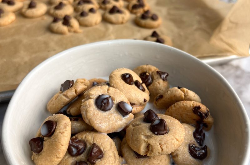 Homemade Vegan and Gluten-Free "Cookie Crisp" Cereal