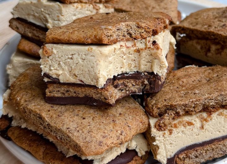 Gluten Free Frozen S'mores Peanut Butter Protein Sandwiches
